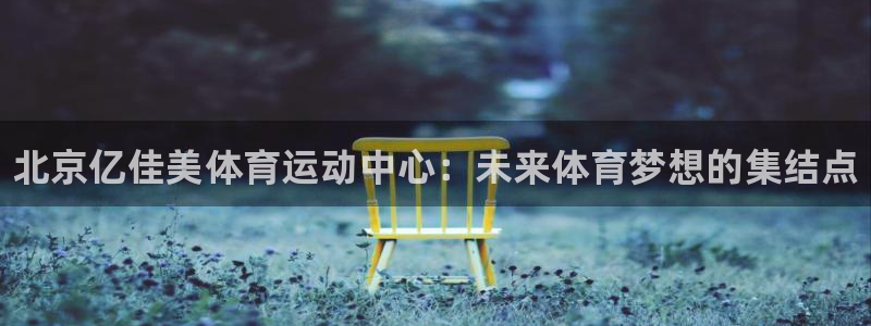 德国3377体育官方正版app集团:北京亿佳美体育运动中心: