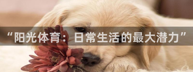 3377体育官网下载注册:“阳光体育:日常生活的最大潜力”