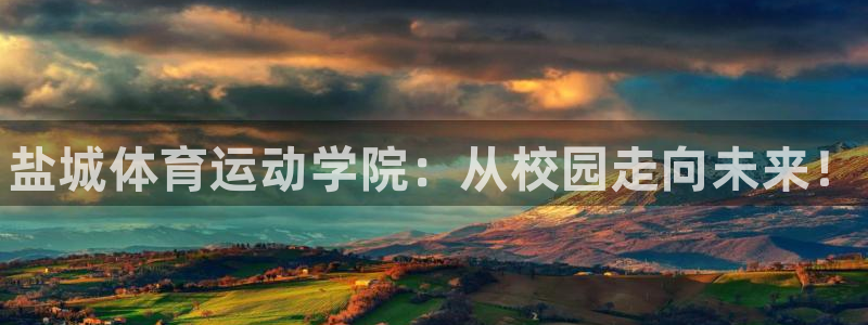 3377体育官网下载是干嘛的公司:盐城体育运动学院:从校园走