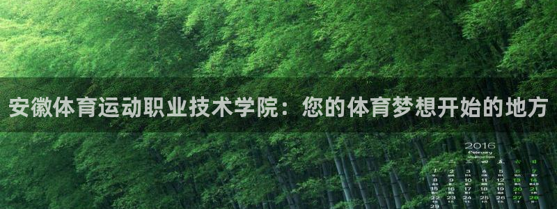 3377体育官网下载娱乐:安徽体育运动职业技术学院:您的体育